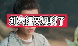 刘大锤爆料孩子视频,孩子视频幕后真相揭秘